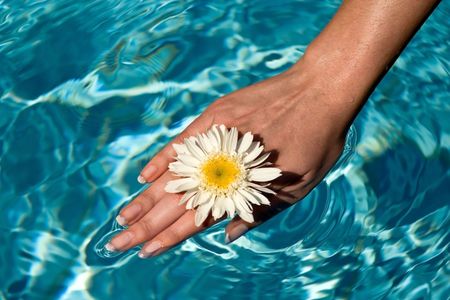 Women's hand in the water pool flowers.の写真素材