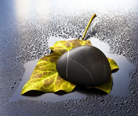 Ivy leaves and gravel, the drops of water a dark background.の写真素材