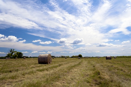 Agricultural land in summer, cloudy sky.の写真素材