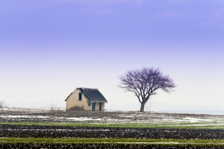 Abandoned house, winter bald tree の写真素材