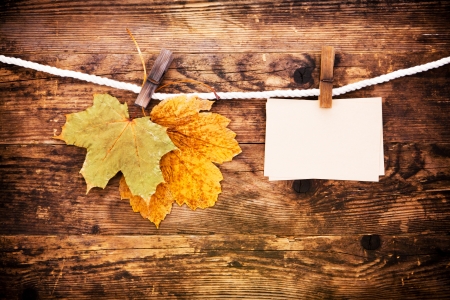 Notebook and leaves the wood background の写真素材