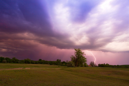 Lightning strikes in the field 