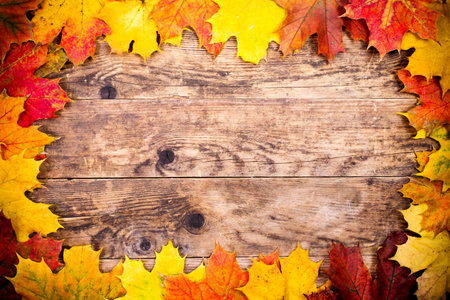 Colorful autumn leaves and wood background.