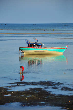 a boy in the red shirt is collecting star fish on the beach at Phu Quoc island - vietnamの写真素材