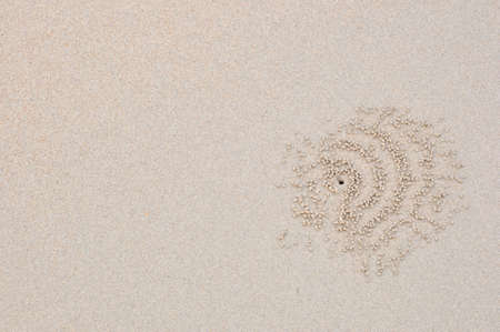 fine sand and the crab holeの写真素材