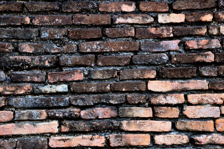 the texture of old brick wall