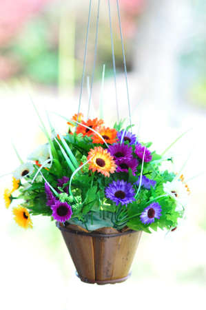 the colorful of flowers in the hanging potの写真素材