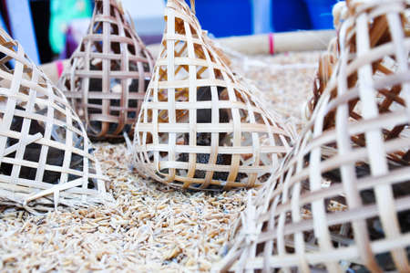 birds in bamboo cage waiting for sellingの写真素材