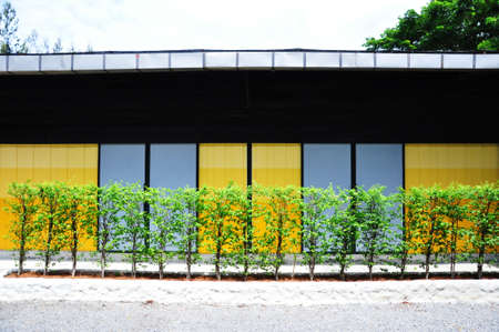 The colorful of yellow and blue wall with treesの写真素材