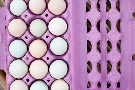 Colorful organic eggs in a purple crate.の写真素材