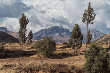 Mountain Peak Framed by Two Trees in Peru.の写真素材