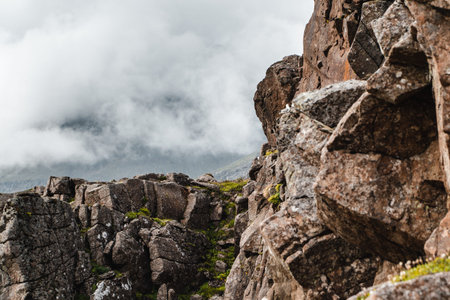 Birds Nesting on a Cliffside in Iceland.