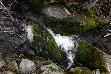 top down view of a small waterfall over mossy rocks
