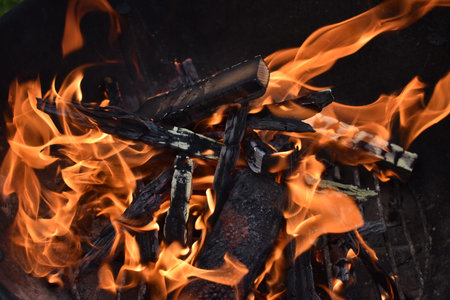 Orange fire with burnt wood