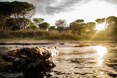 Beautiful sunrise in the forest with reflection and a rock.の写真素材