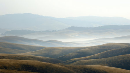 The horizon shimmers and dances with hazy layers transforming the landscape into a mesmerizing mirage of distorted beauty.の素材