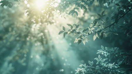 Soft and dreamy defocused image of a mystical forest where the suns rays struggle to pierce through the thick mist to reveal hints of hidden secrets and untold wonders. A captivatingの素材
