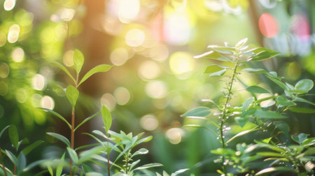 Soft blurred shapes mingle in a sea of greenery at the garden eventの素材