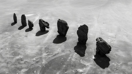 A family of sailing stones moving together in a seemingly choreographed danceの素材