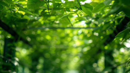 Intricate vines span the length of the greenhouse creating a living canopy overheadの素材
