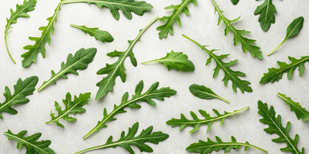 Arugula Leaves Peppery arugula leaves tered across a light background reflecting their unique flavor and lowcalorie profile that supports weight management..の素材