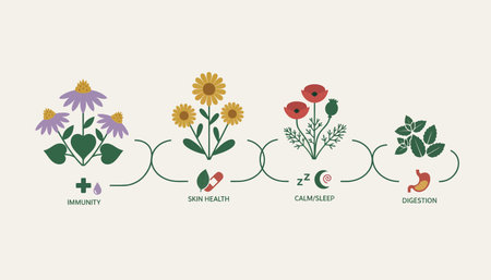 A beautiful wildflower meadow showcasing various medicinal herbs highlighting their diverse applications in wellness.の素材