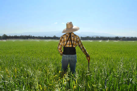 Mexican farmer in a green fieldの写真素材