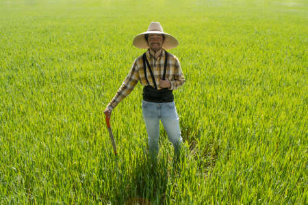 Mexican farmer in a green fieldの写真素材