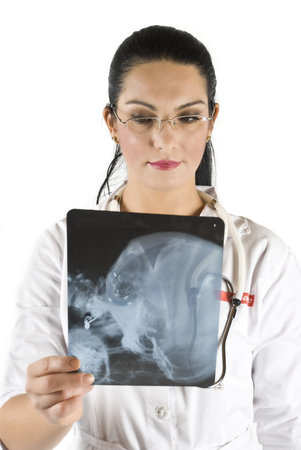 Young doctor examine a head x-ray on white background