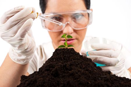 Close up of  agricultural scientist pouring  liquid on a plant  working in laboratory,selective focus on plantの写真素材
