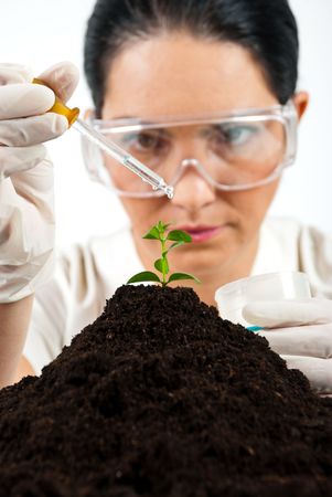 Agricultural woman scientist testing in laboratory ,she using a pipette with liquid on a plant in soilの写真素材