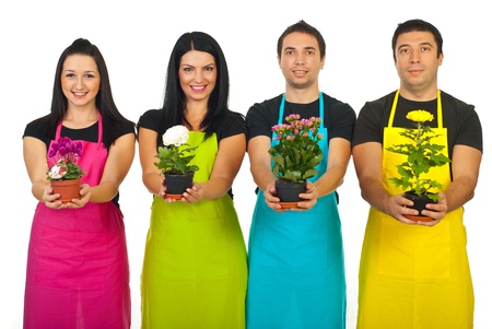 Team of four florist workers in a shop showing different flowers in pots isolated on white backgroundの写真素材