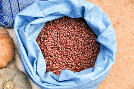 Red beans at fresh marketの写真素材