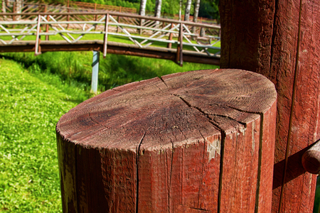 Cut a tree painted with brown paint in the sunの写真素材