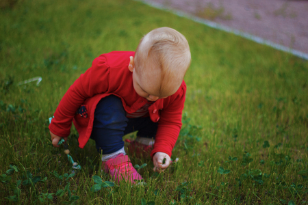 A baby in a red jacket is sitting on the grass and collecting somethingの写真素材