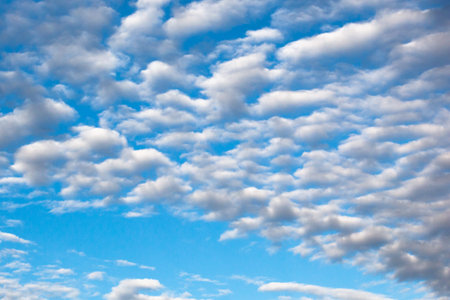 clouds of an average tier high cumulus, on a blue background of the sky