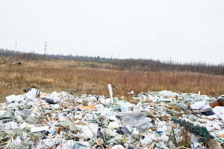 Russia, Leningrad region-November 2019: a garbage dump near the residential quarters of Mega Parnas....