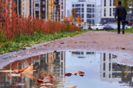 autumn puddle after rain with autumn yellow and maroon leaves.の写真素材