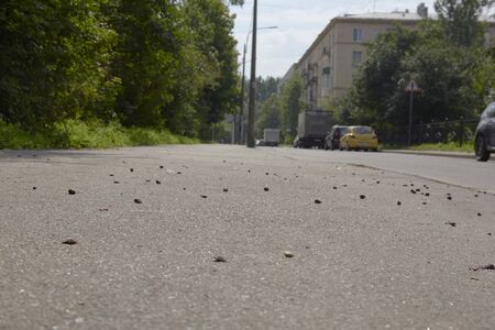a cherry fruit that fell on the pavement.の写真素材