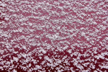texture of the first snow background.の写真素材