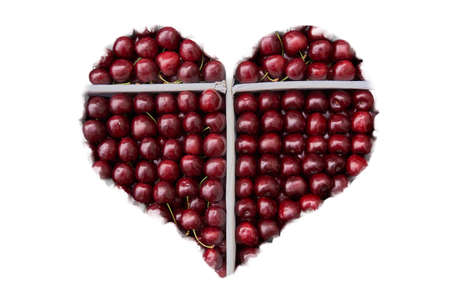 cherry ripe sweet viburnum cherry background.の写真素材