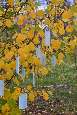 Medical mask blue against the background of yellow orange leaves in autumn, the concept of the beginning of a wave of diseasesの写真素材