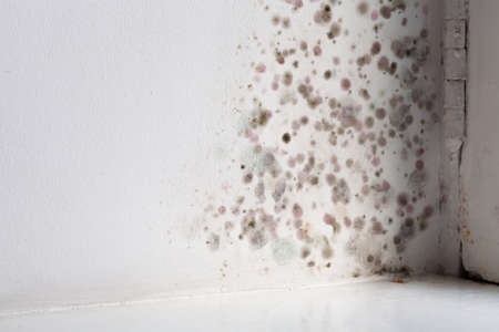 mold on the wall in the house, high humidity, the ventilation system is not workingの写真素材