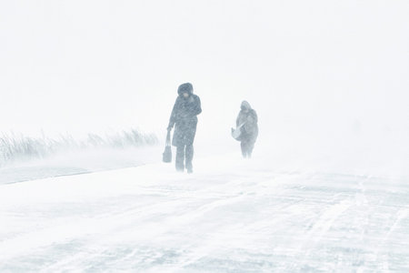 the snowstorm is cold a person has fallen into extreme living conditions is walking along the road...