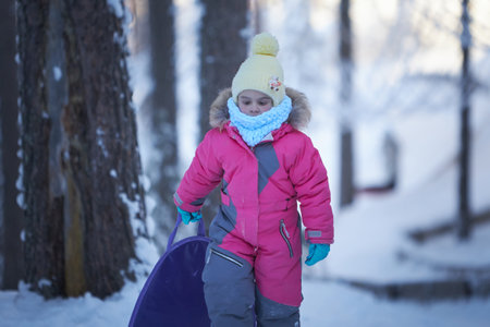 Whispering Willows Winter Adventure, A Young Girls Snowy Woods Stroll With Her Trusty Snowboardの写真素材