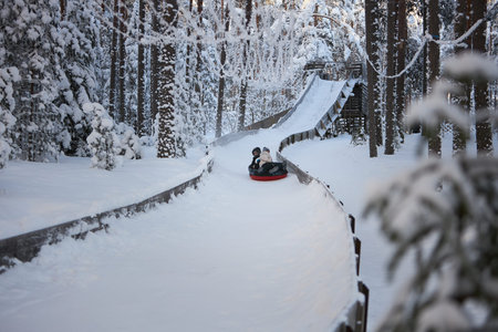 Embracing Winters Whimsy, A Thrilling Descent on a Snow-Covered Sled
