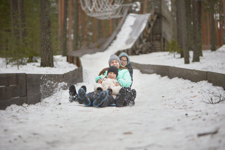 Frosty Gatherings: A Bonding Experience in the Snow