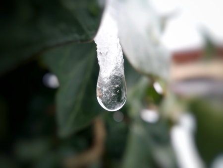 water drop