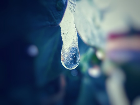 Frozen water dropの写真素材