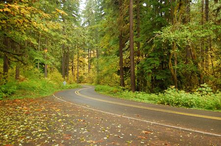 Road winding through a forest in autumnの写真素材
